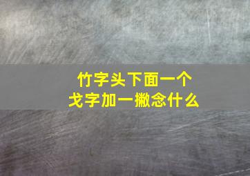 竹字头下面一个戈字加一撇念什么