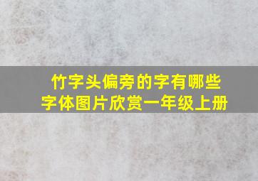 竹字头偏旁的字有哪些字体图片欣赏一年级上册