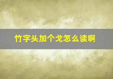 竹字头加个戈怎么读啊