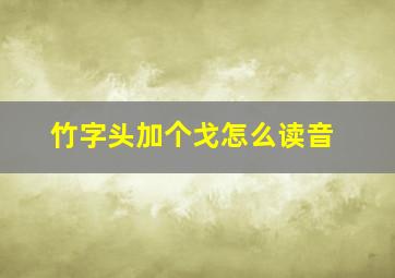 竹字头加个戈怎么读音