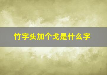 竹字头加个戈是什么字