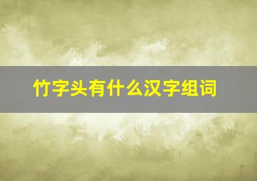 竹字头有什么汉字组词