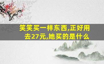 笑笑买一样东西,正好用去27元,她买的是什么