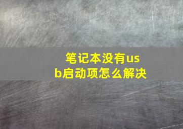 笔记本没有usb启动项怎么解决