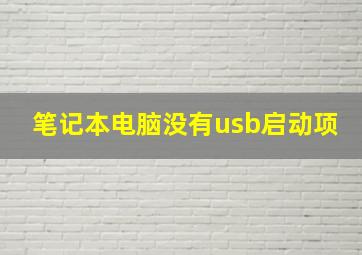 笔记本电脑没有usb启动项