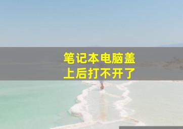 笔记本电脑盖上后打不开了