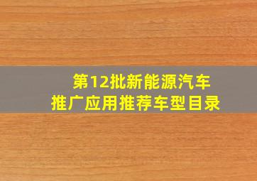 第12批新能源汽车推广应用推荐车型目录