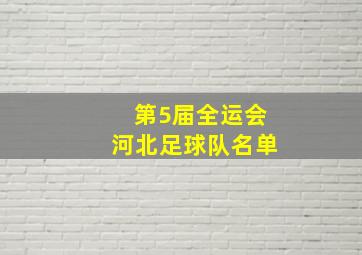 第5届全运会河北足球队名单