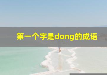 第一个字是dong的成语