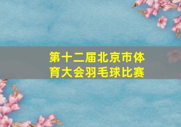 第十二届北京市体育大会羽毛球比赛