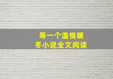 等一个温情暖冬小说全文阅读