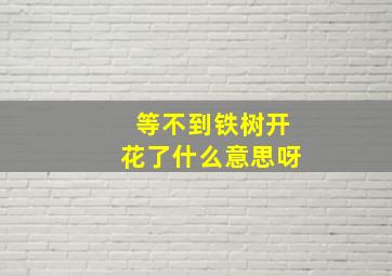 等不到铁树开花了什么意思呀