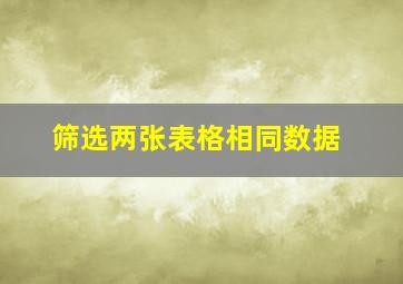 筛选两张表格相同数据