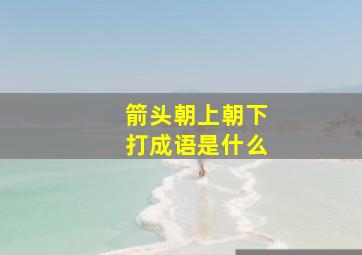 箭头朝上朝下打成语是什么