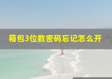 箱包3位数密码忘记怎么开