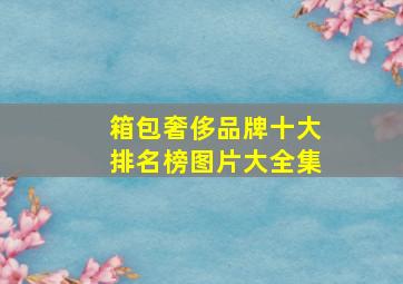 箱包奢侈品牌十大排名榜图片大全集