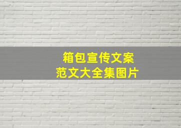 箱包宣传文案范文大全集图片