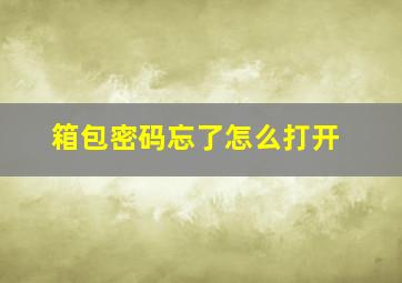 箱包密码忘了怎么打开