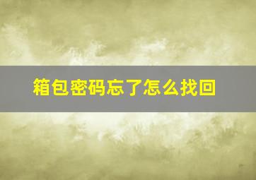 箱包密码忘了怎么找回