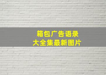 箱包广告语录大全集最新图片