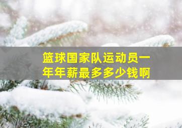 篮球国家队运动员一年年薪最多多少钱啊