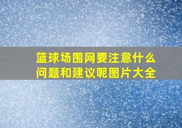 篮球场围网要注意什么问题和建议呢图片大全