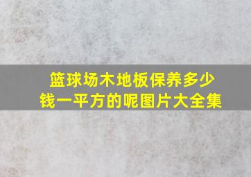 篮球场木地板保养多少钱一平方的呢图片大全集