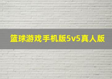 篮球游戏手机版5v5真人版