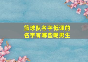 篮球队名字低调的名字有哪些呢男生