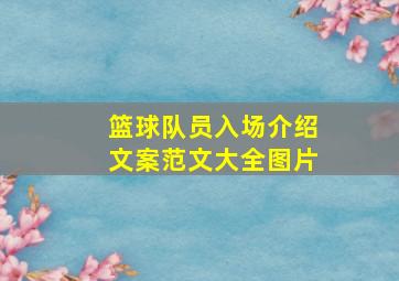 篮球队员入场介绍文案范文大全图片