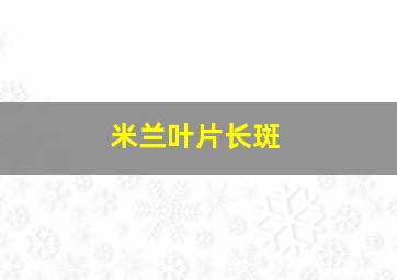 米兰叶片长斑