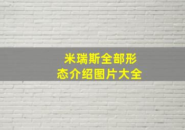 米瑞斯全部形态介绍图片大全