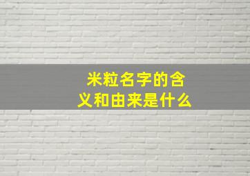 米粒名字的含义和由来是什么