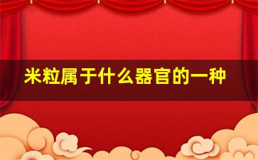 米粒属于什么器官的一种