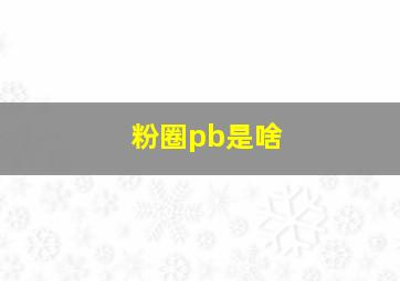 粉圈pb是啥