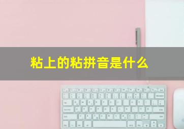 粘上的粘拼音是什么