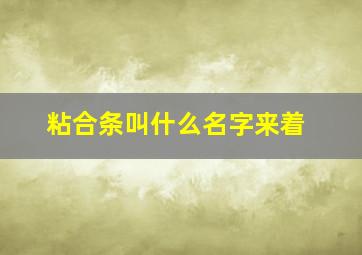 粘合条叫什么名字来着