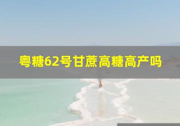 粤糖62号甘蔗高糖高产吗