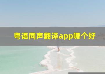 粤语同声翻译app哪个好