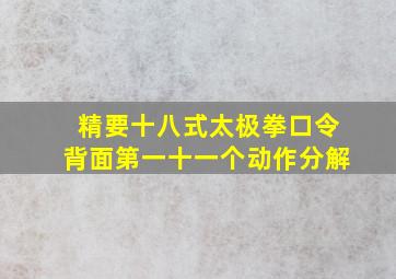 精要十八式太极拳口令背面第一十一个动作分解