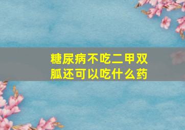 糖尿病不吃二甲双胍还可以吃什么药