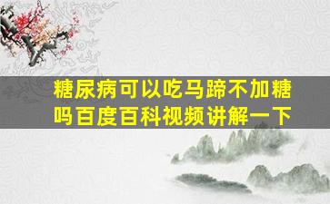 糖尿病可以吃马蹄不加糖吗百度百科视频讲解一下