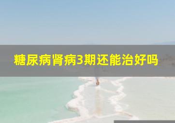 糖尿病肾病3期还能治好吗