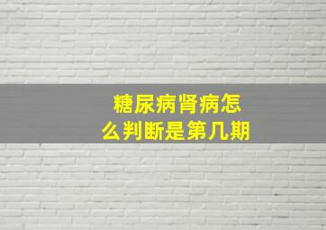 糖尿病肾病怎么判断是第几期