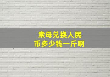 索母兑换人民币多少钱一斤啊