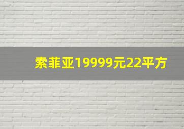 索菲亚19999元22平方