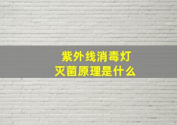 紫外线消毒灯灭菌原理是什么