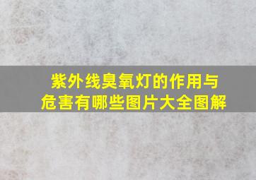 紫外线臭氧灯的作用与危害有哪些图片大全图解