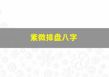 紫微排盘八字