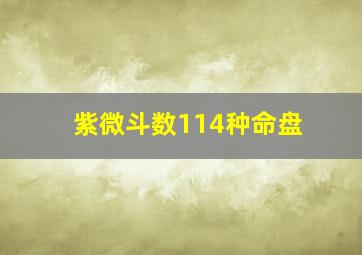 紫微斗数114种命盘